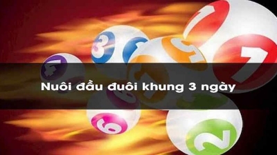 Nuôi đầu đuôi khung 3 ngày: Thành công ngay hôm nay