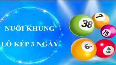 Cách chơi lô kép nuôi khung 3 ngày mang tiền về tay