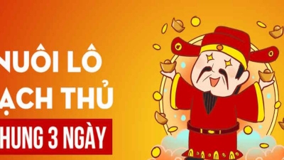 Nuôi lô bạch thủ khung 3 ngày đẹp nhất của giới lô thủ