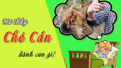 Nằm mơ thấy chó cắn và các con số lô đề phù hợp