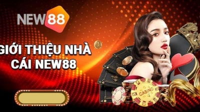 Nhà cái New88 - Nền tảng cá cược hàng đầu cho các bet thủ