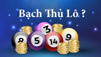 Bạch thủ lô khung 3 ngày - Chiến thuật chơi xổ số hiệu quả