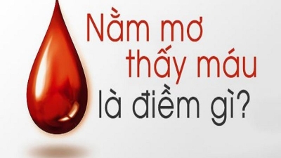 Nằm mơ thấy máu - giải mã con số may mắn giúp nhanh chóng đổi đời